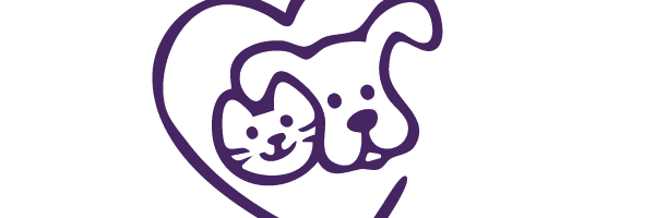 Cat and dog-01