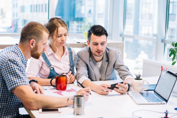 Software Consultancy